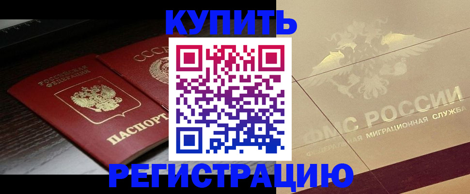 прописка поиск в Михайловке